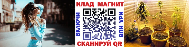 Как найти закладки Александровское МАРИХУАНА Альфа ПВП Гашиш Codein Кокаин