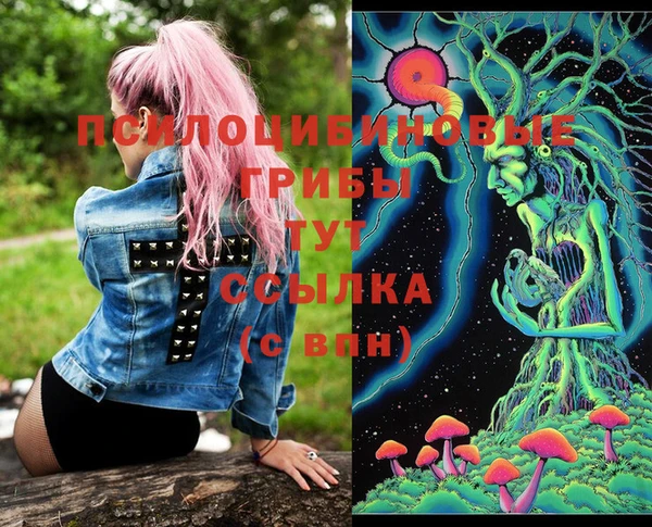 таблы Лиски
