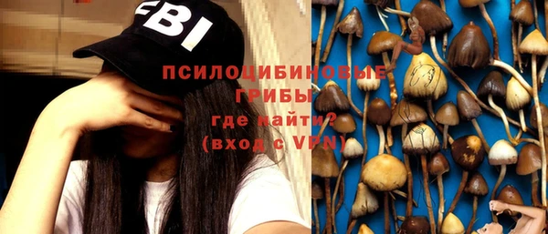 таблы Лиски