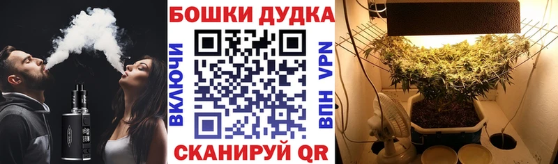 Конопля SATIVA & INDICA  Александровское 